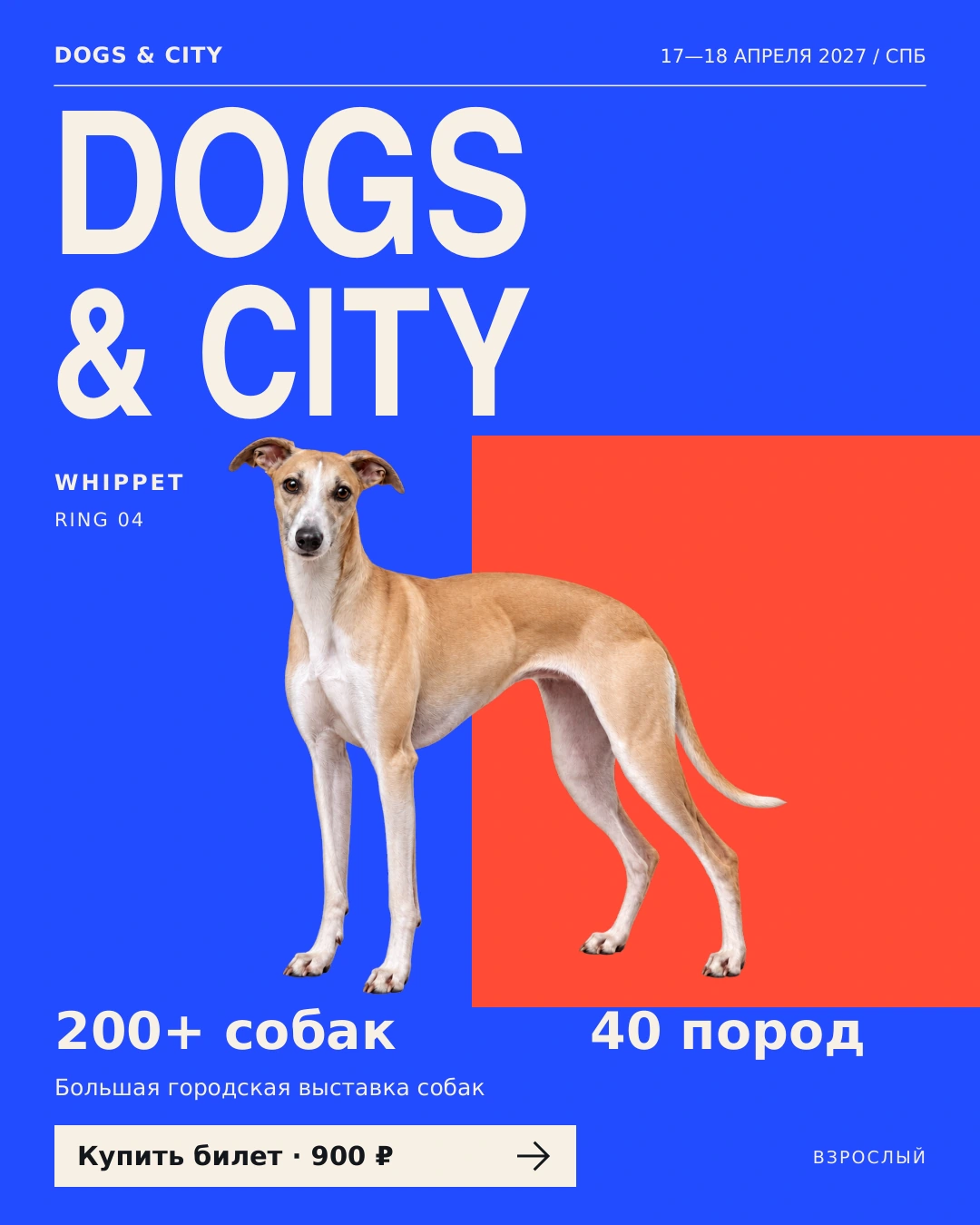 DOGS & CITY — Главный постер