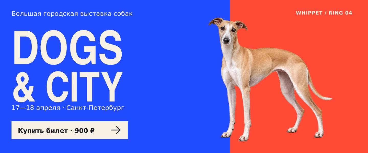 DOGS & CITY — Горизонтальный баннер