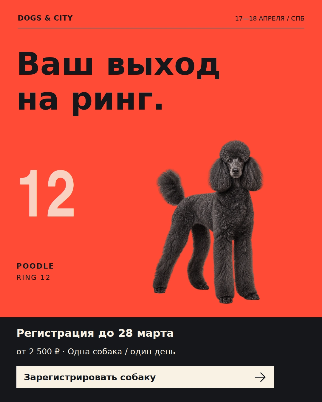 DOGS & CITY — Ваш выход на ринг