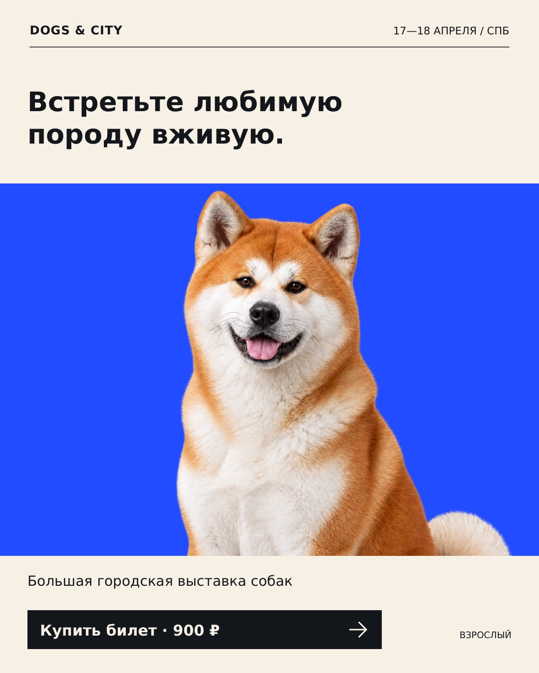 DOGS & CITY — Эмоция