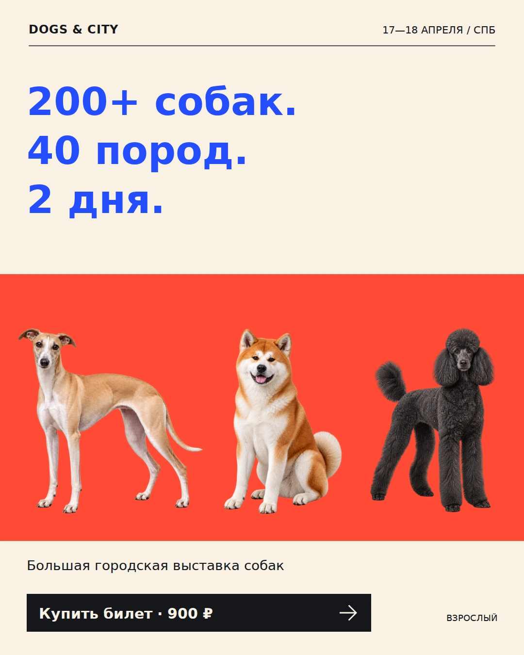 DOGS & CITY — Масштаб