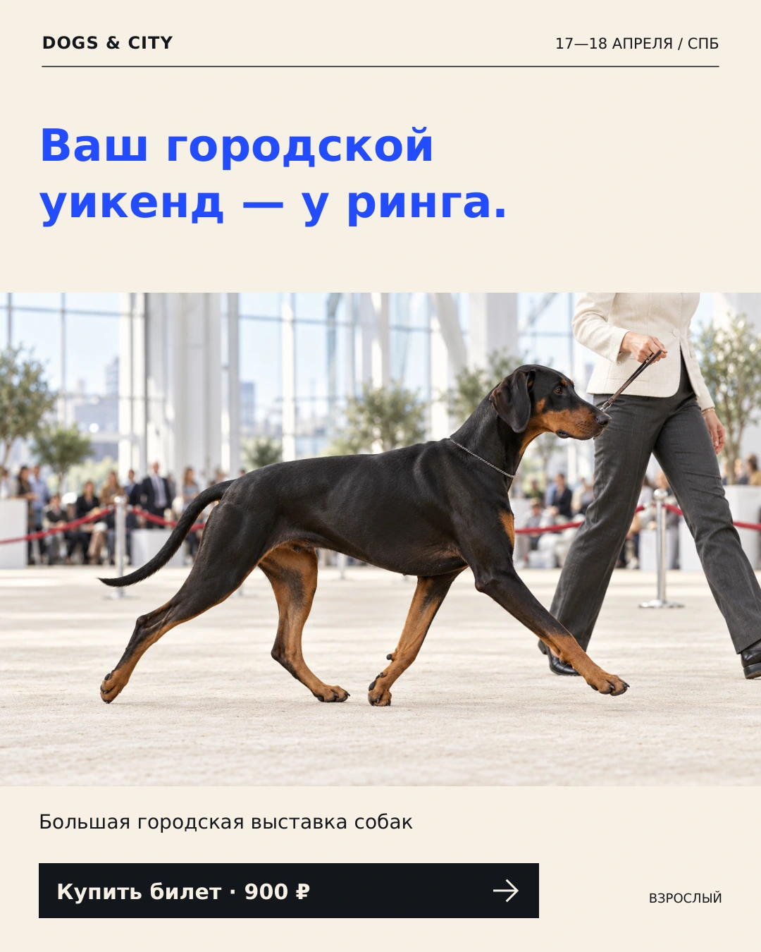 DOGS & CITY — Событие