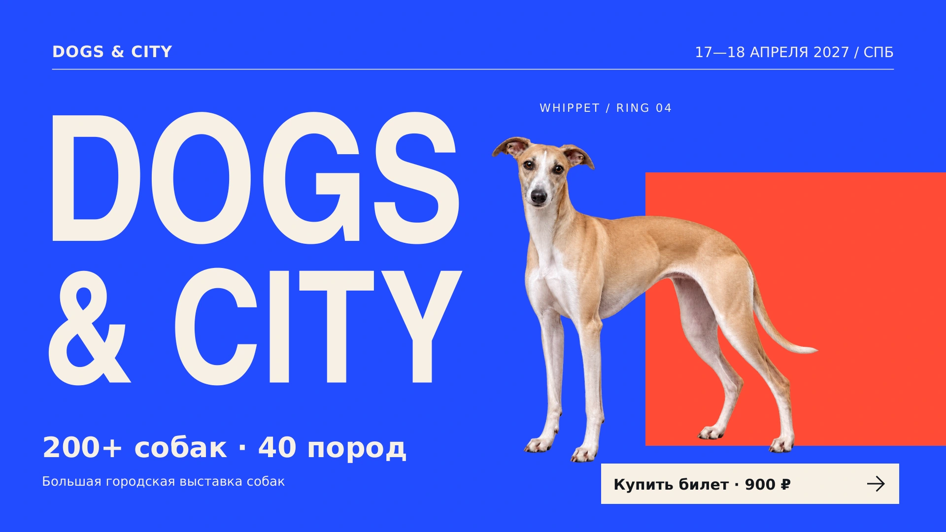 DOGS & CITY — Адаптация в горизонталь