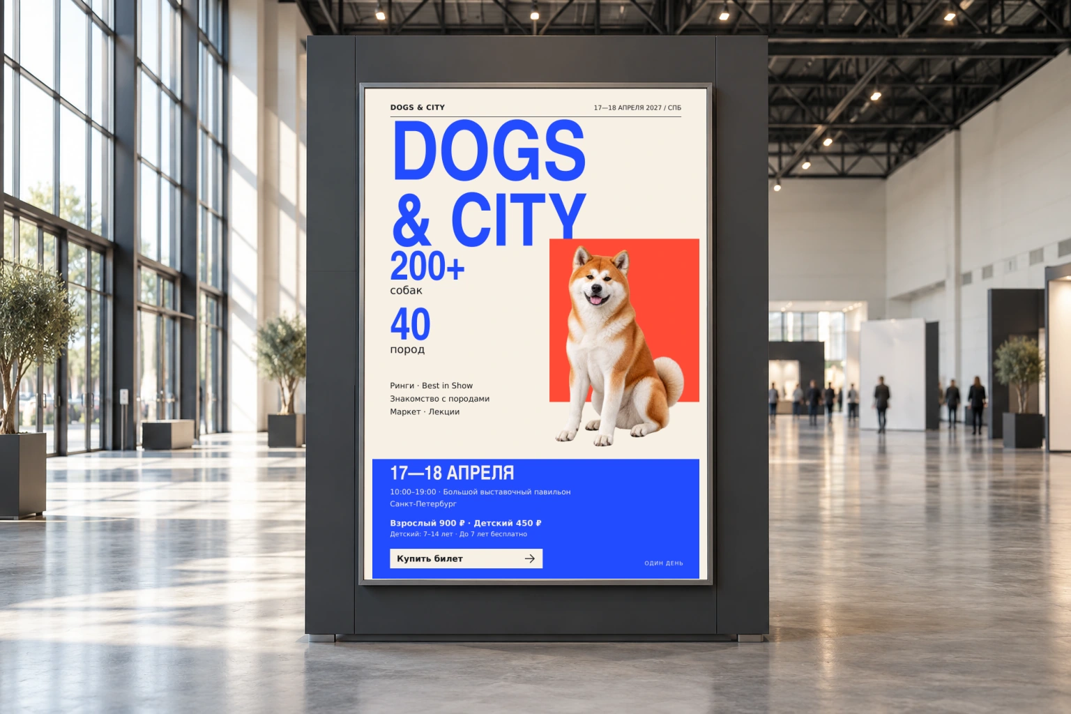 DOGS & CITY — Павильон